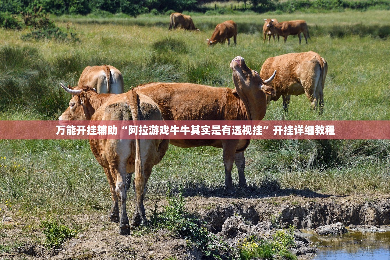 万能开挂辅助“阿拉游戏牛牛其实是有透视挂	”开挂详细教程