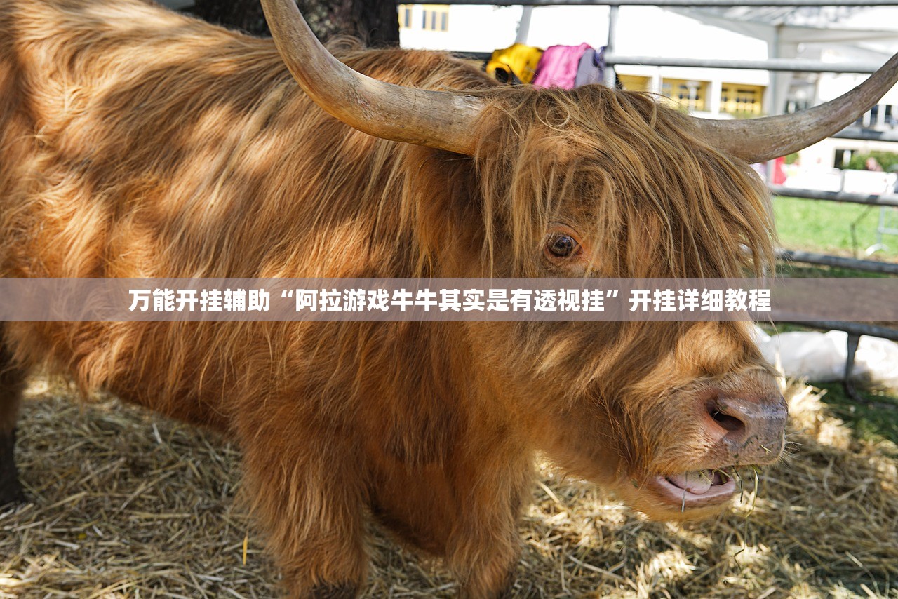 万能开挂辅助“阿拉游戏牛牛其实是有透视挂”开挂详细教程