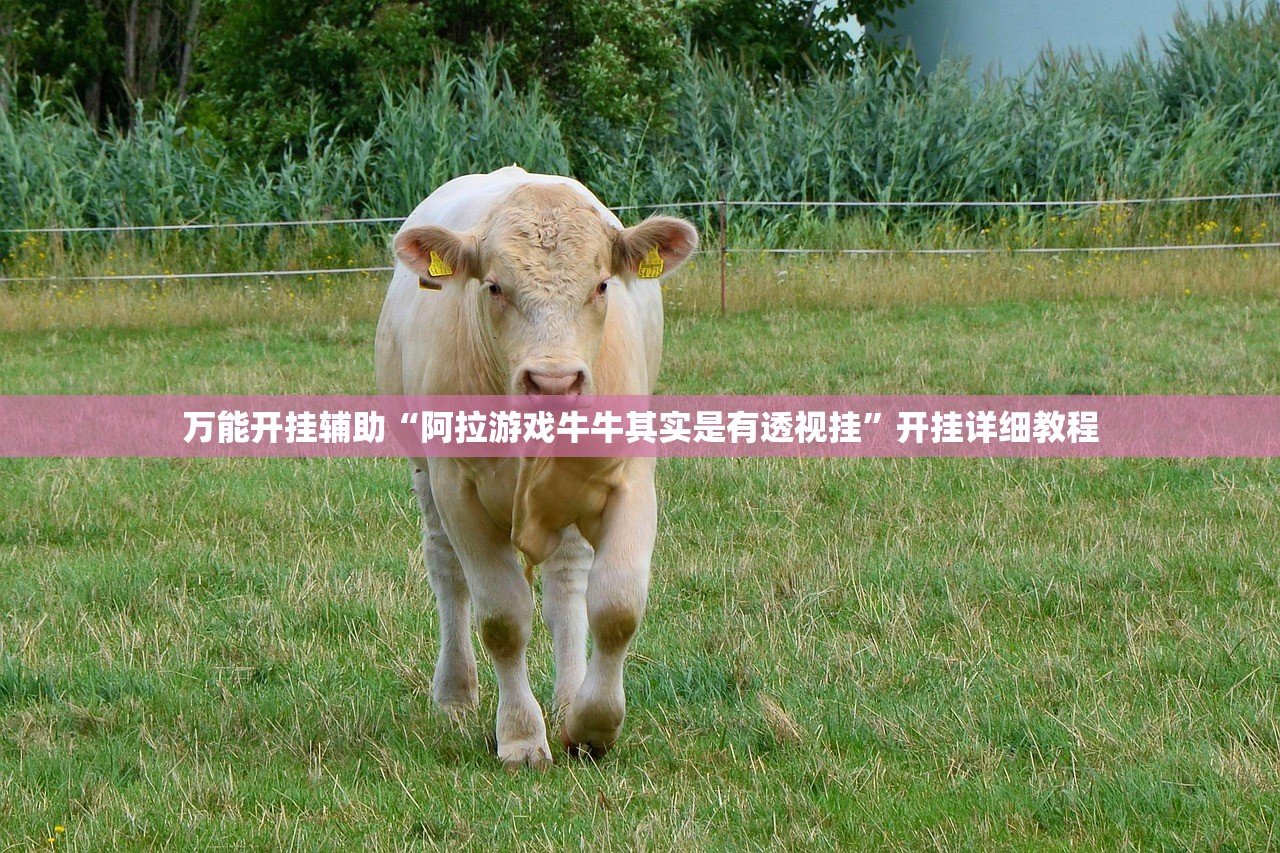 万能开挂辅助“阿拉游戏牛牛其实是有透视挂	”开挂详细教程