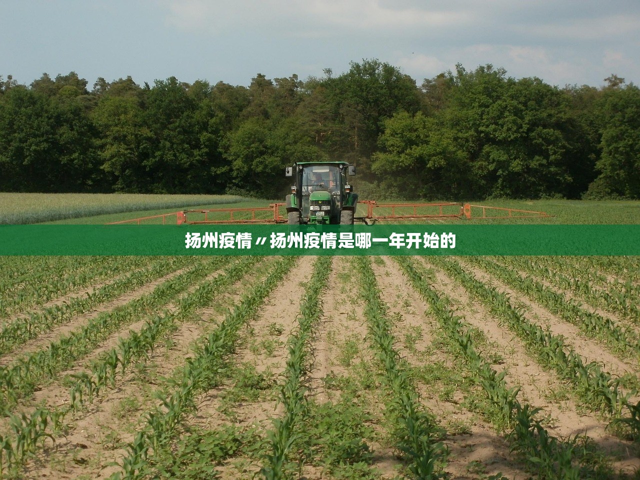 扬州疫情〃扬州疫情是哪一年开始的