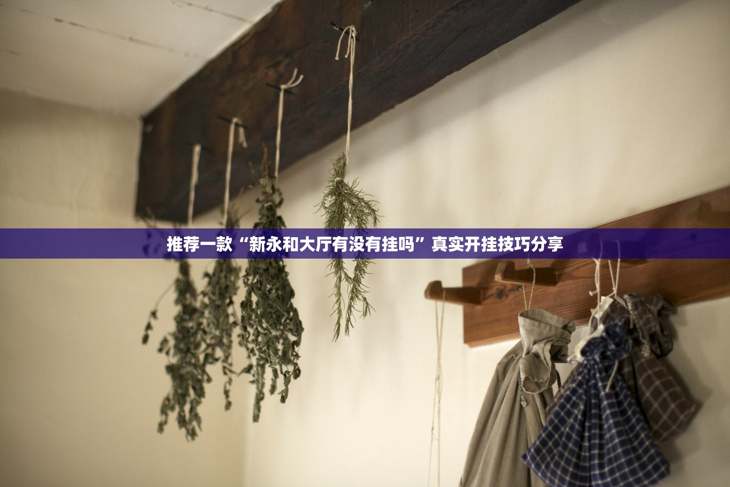 实操教程“微信金花开挂安装教程	”开挂(透视)辅助神器