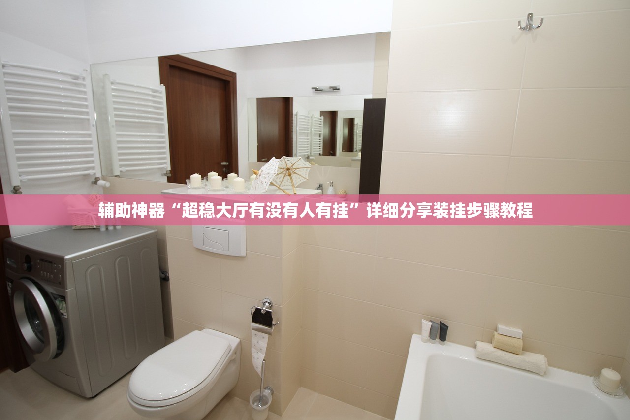 辅助神器“超稳大厅有没有人有挂”详细分享装挂步骤教程