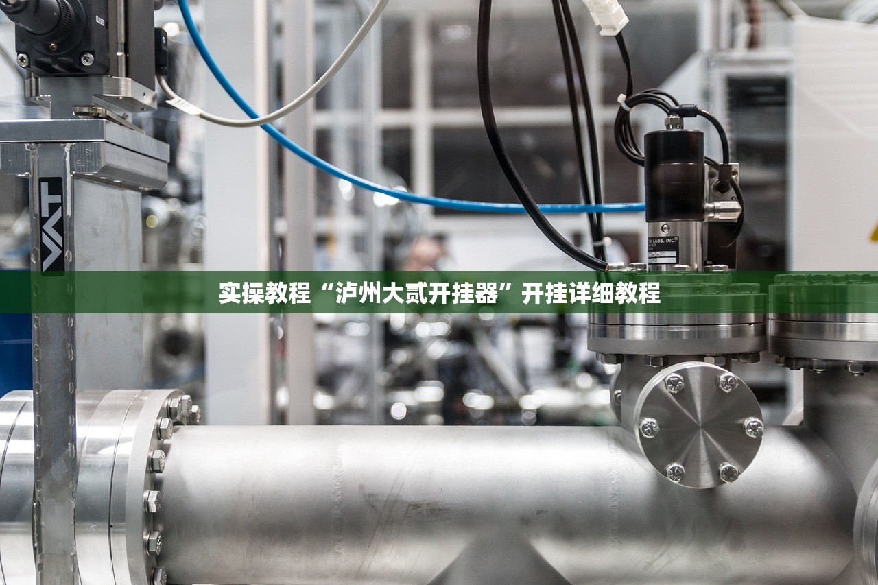 实操教程“泸州大贰开挂器”开挂详细教程