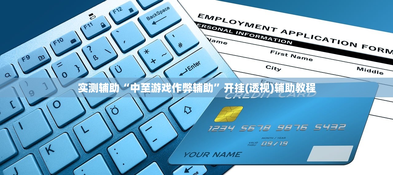 实测辅助“中至游戏作弊辅助	”开挂(透视)辅助教程