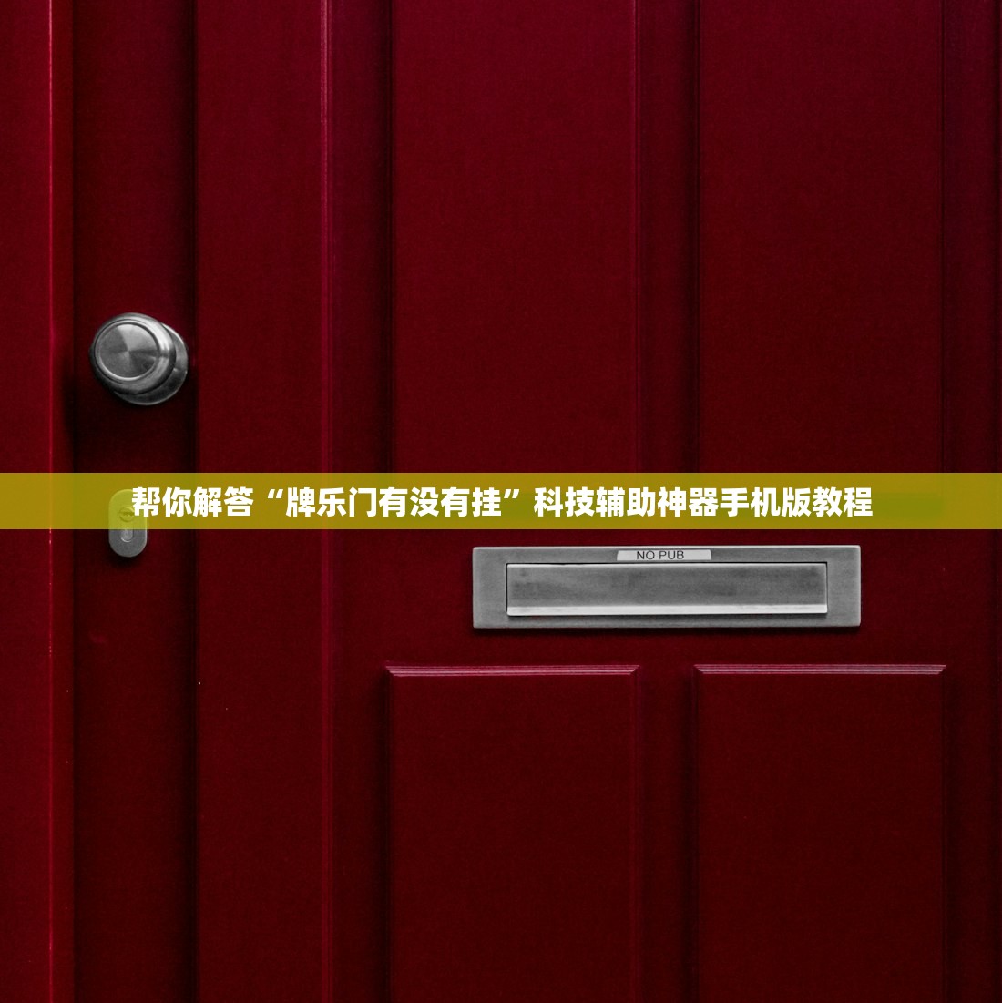 帮你解答“牌乐门有没有挂”科技辅助神器手机版教程