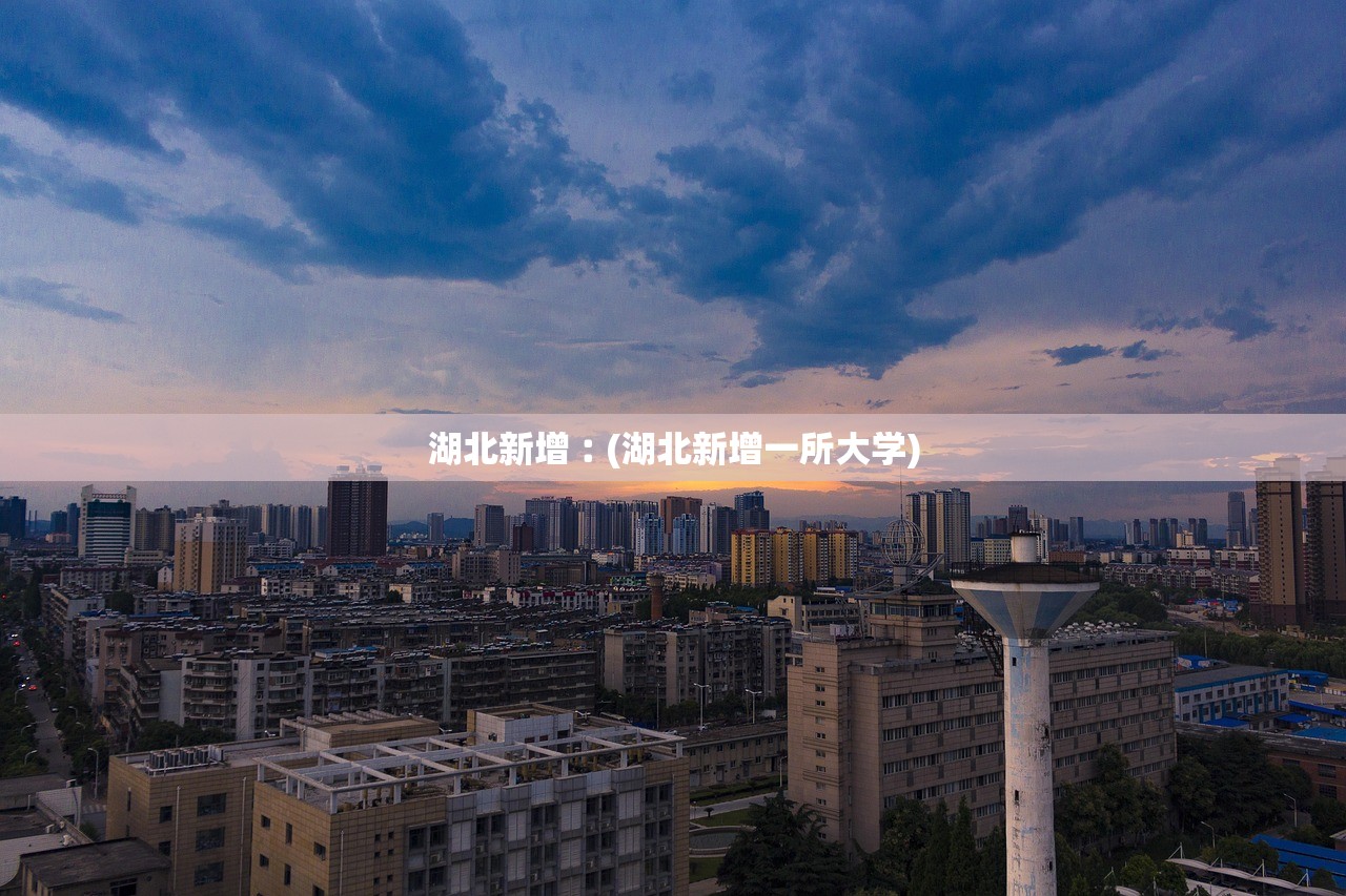 湖北新增︰(湖北新增一所大学) 湖北新增︰(湖北新增一所大学)