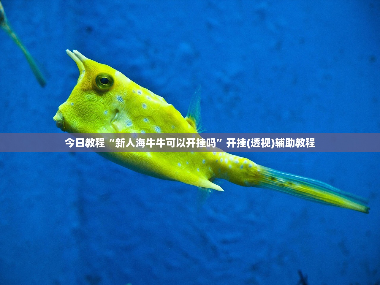 今日教程“新人海牛牛可以开挂吗	”开挂(透视)辅助教程