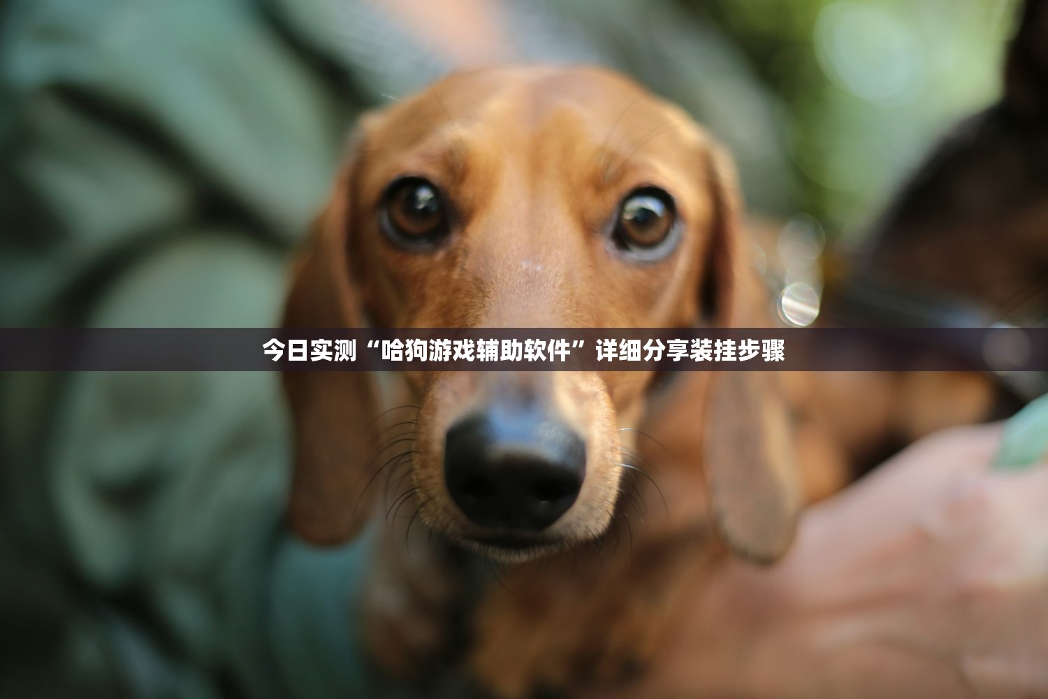 实操教程“小程序雀神麻将开挂神器免费版”开挂(透视)辅助神器