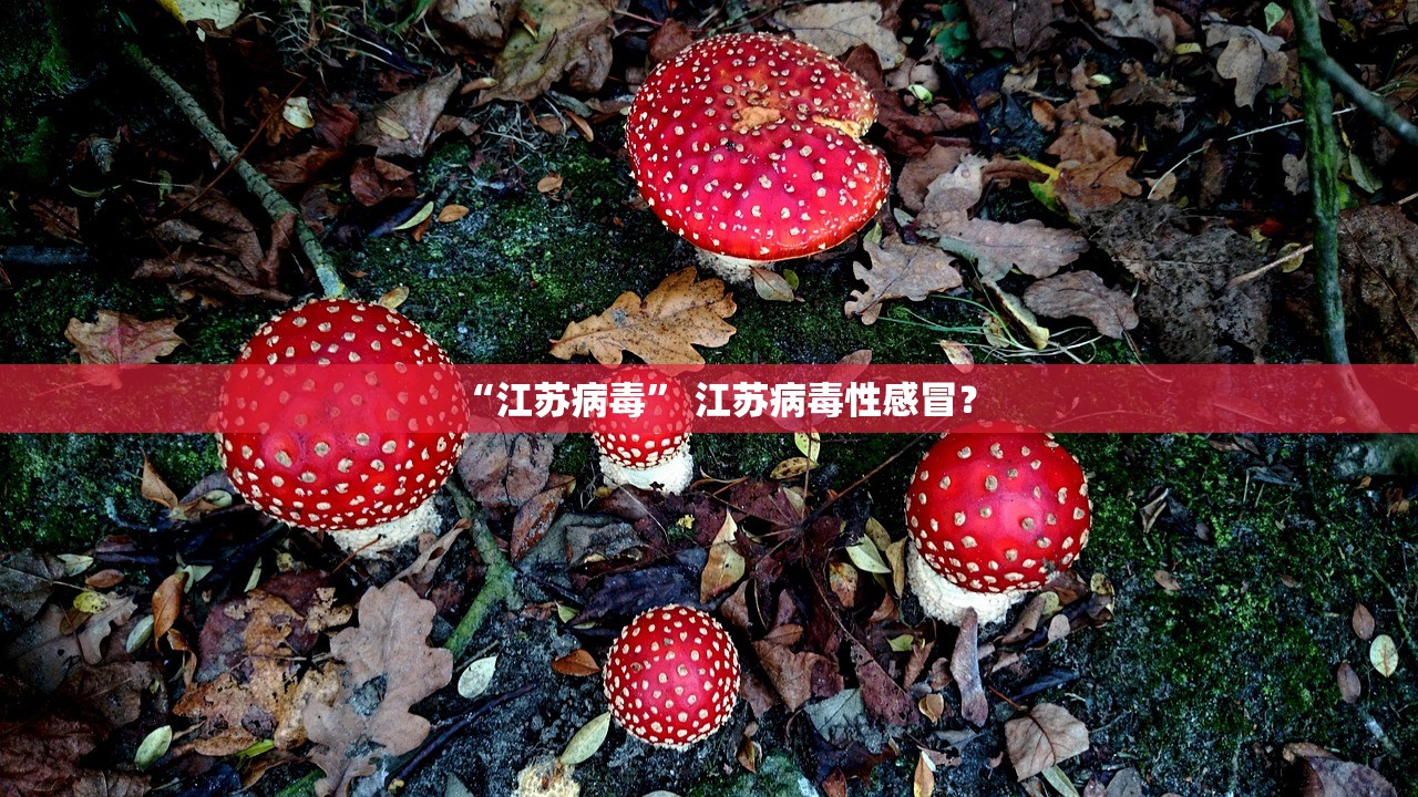 “江苏病毒” 江苏病毒性感冒？