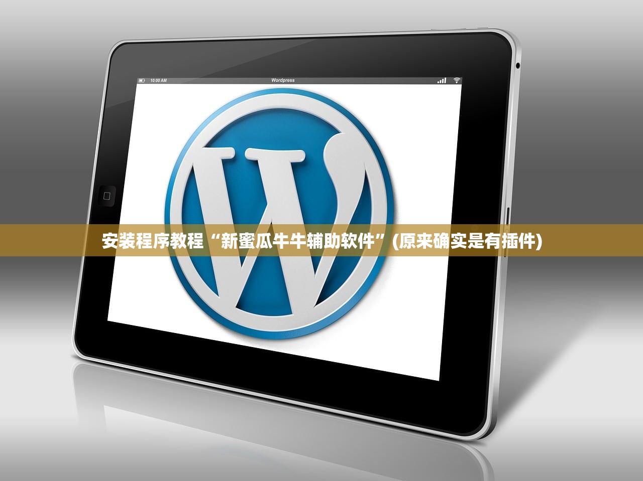 安装程序教程“新蜜瓜牛牛辅助软件”(原来确实是有插件)