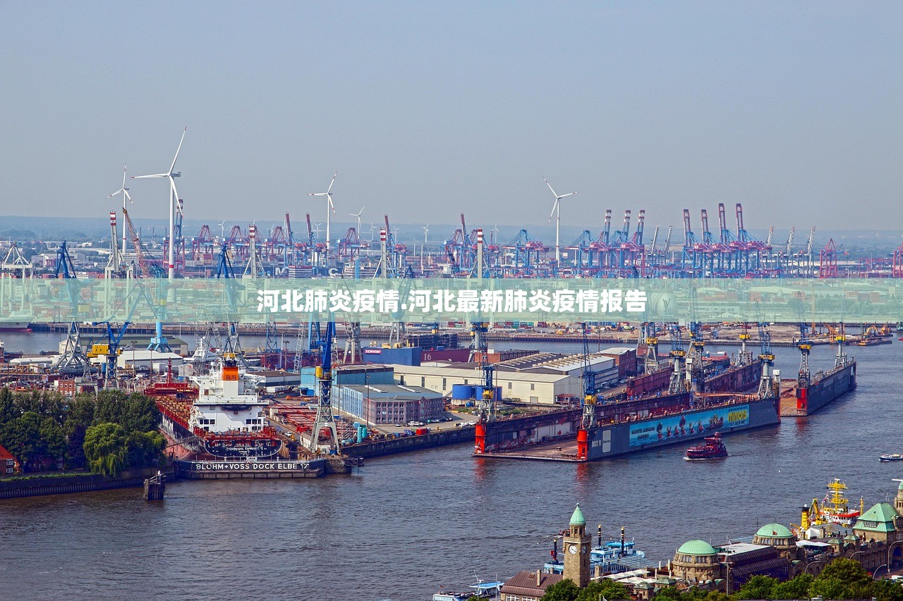 河北肺炎疫情.河北最新肺炎疫情报告