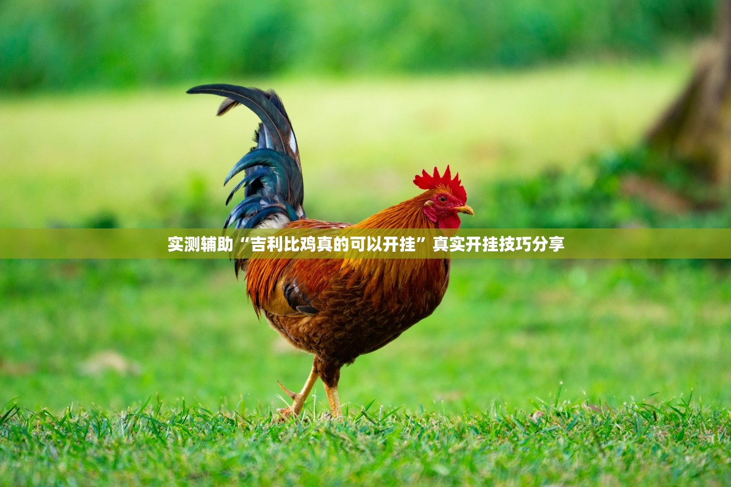 可用版本“蜀山四川麻将辅助神器”通用版下载教程！