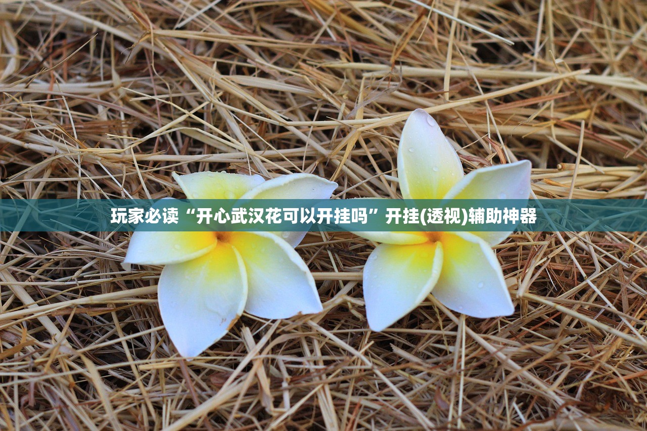玩家必读“开心武汉花可以开挂吗”开挂(透视)辅助神器