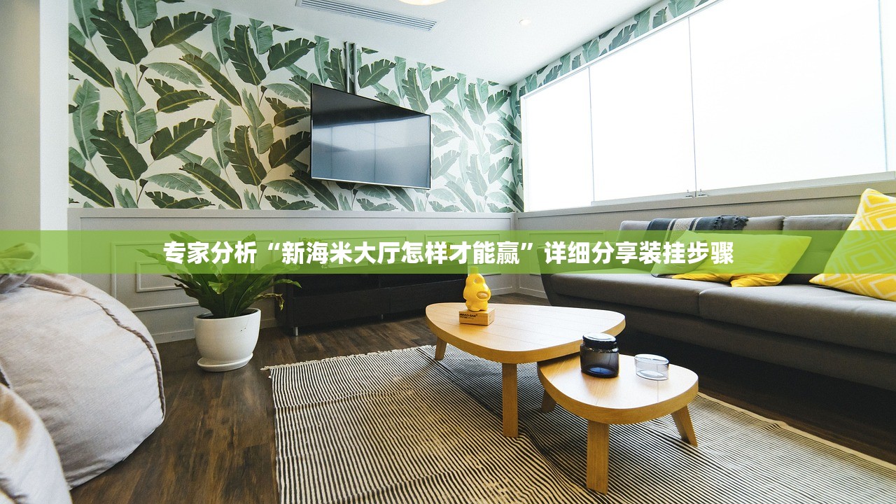 专家分析“新海米大厅怎样才能赢”详细分享装挂步骤