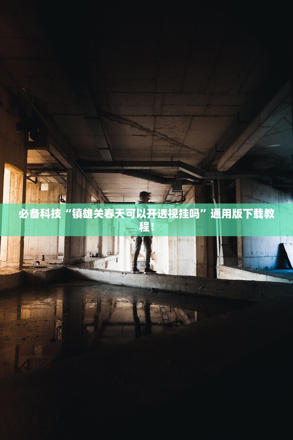 教程开挂辅助“新华棋牌到底是不是挂”开挂(透视)辅助教程