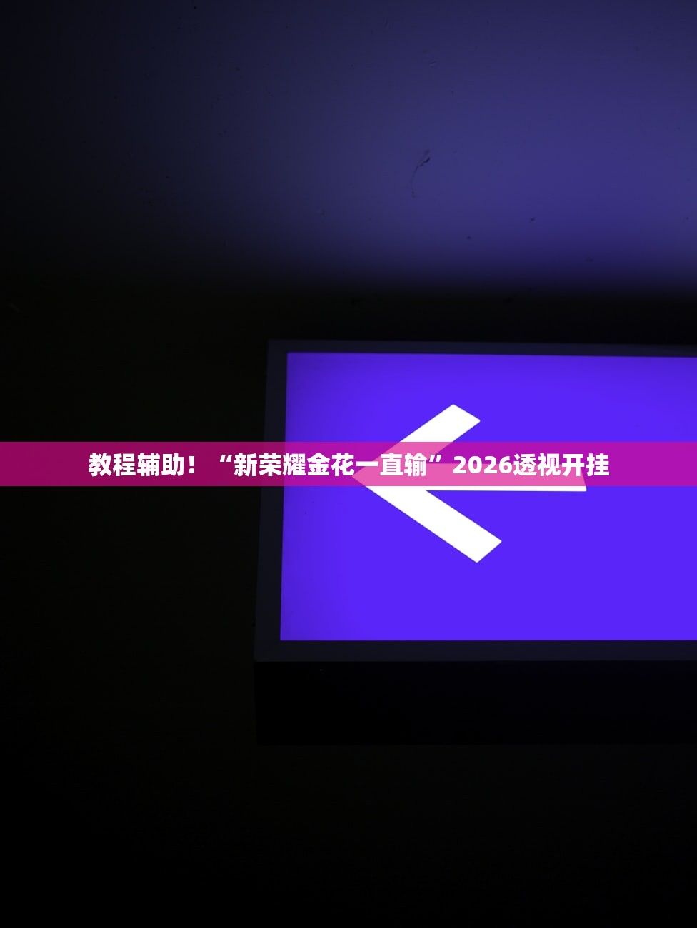 教程辅助！“新荣耀金花一直输	”2026透视开挂