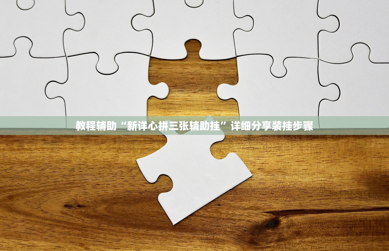 教程辅助“新详心拼三张辅助挂	”详细分享装挂步骤
