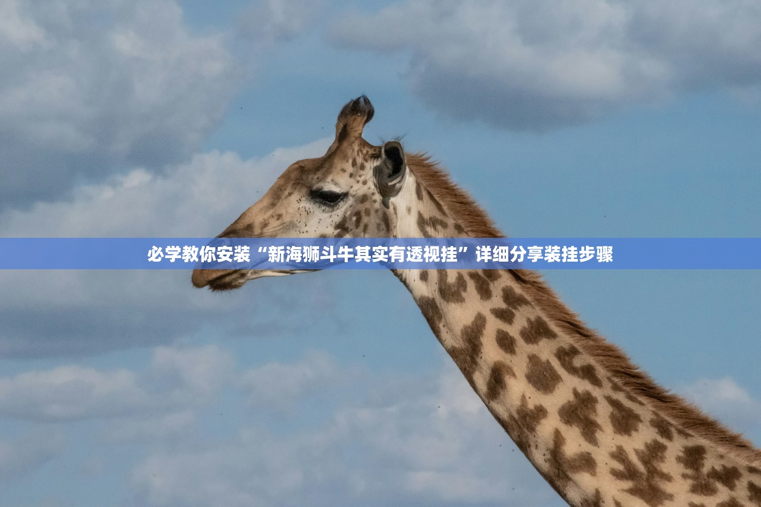 “丹东新增一例” 丹东新增1例肺炎？