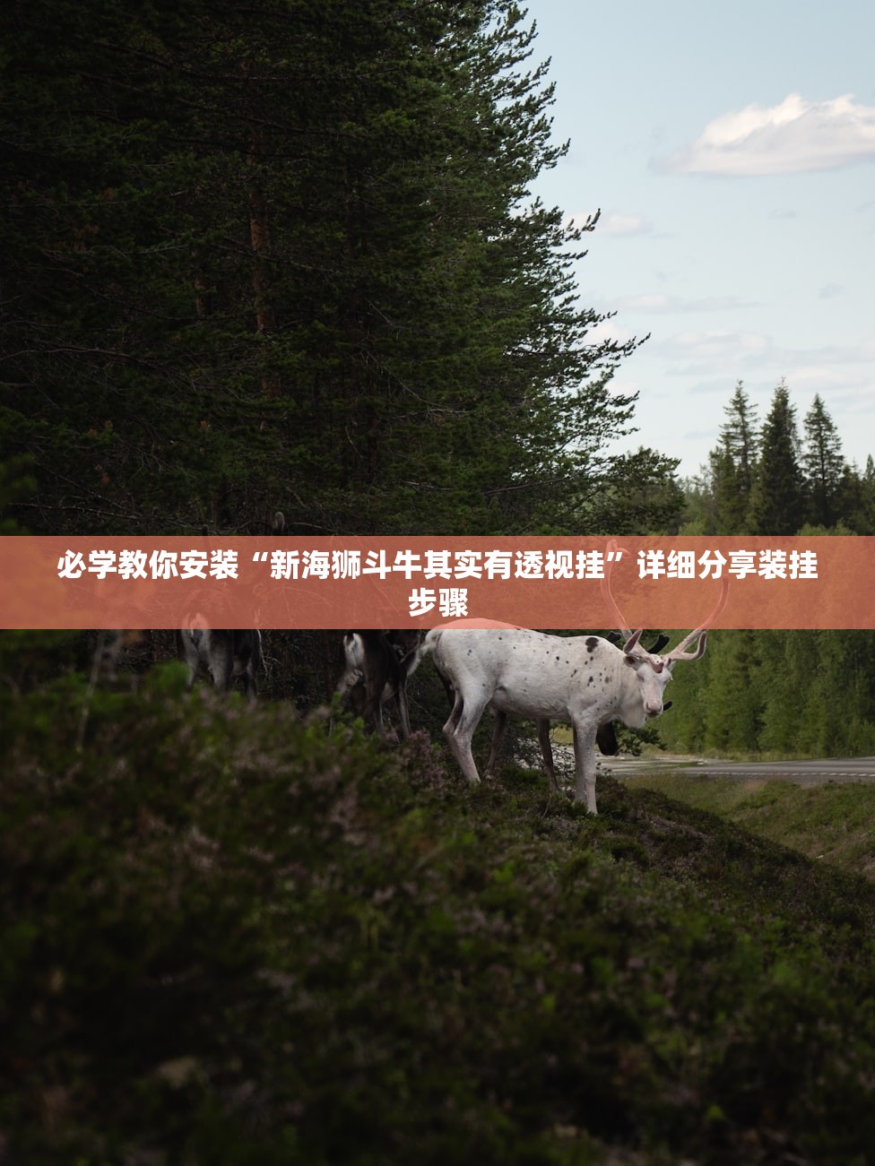 必学教你安装“微信小程序微乐四川麻将外卦神器下载安装	”开挂详细教程