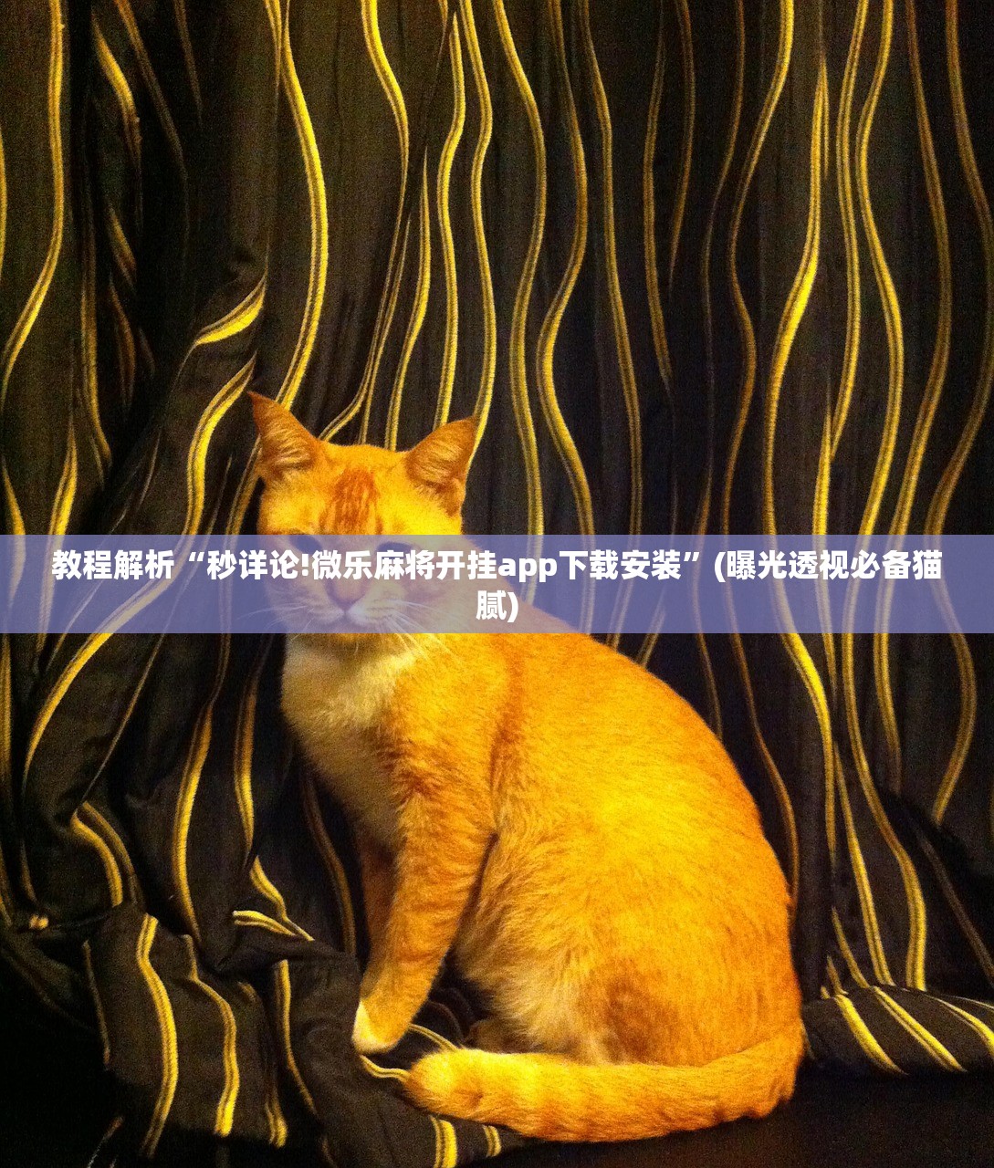 教程解析“秒详论!微乐麻将开挂app下载安装”(曝光透视必备猫腻)