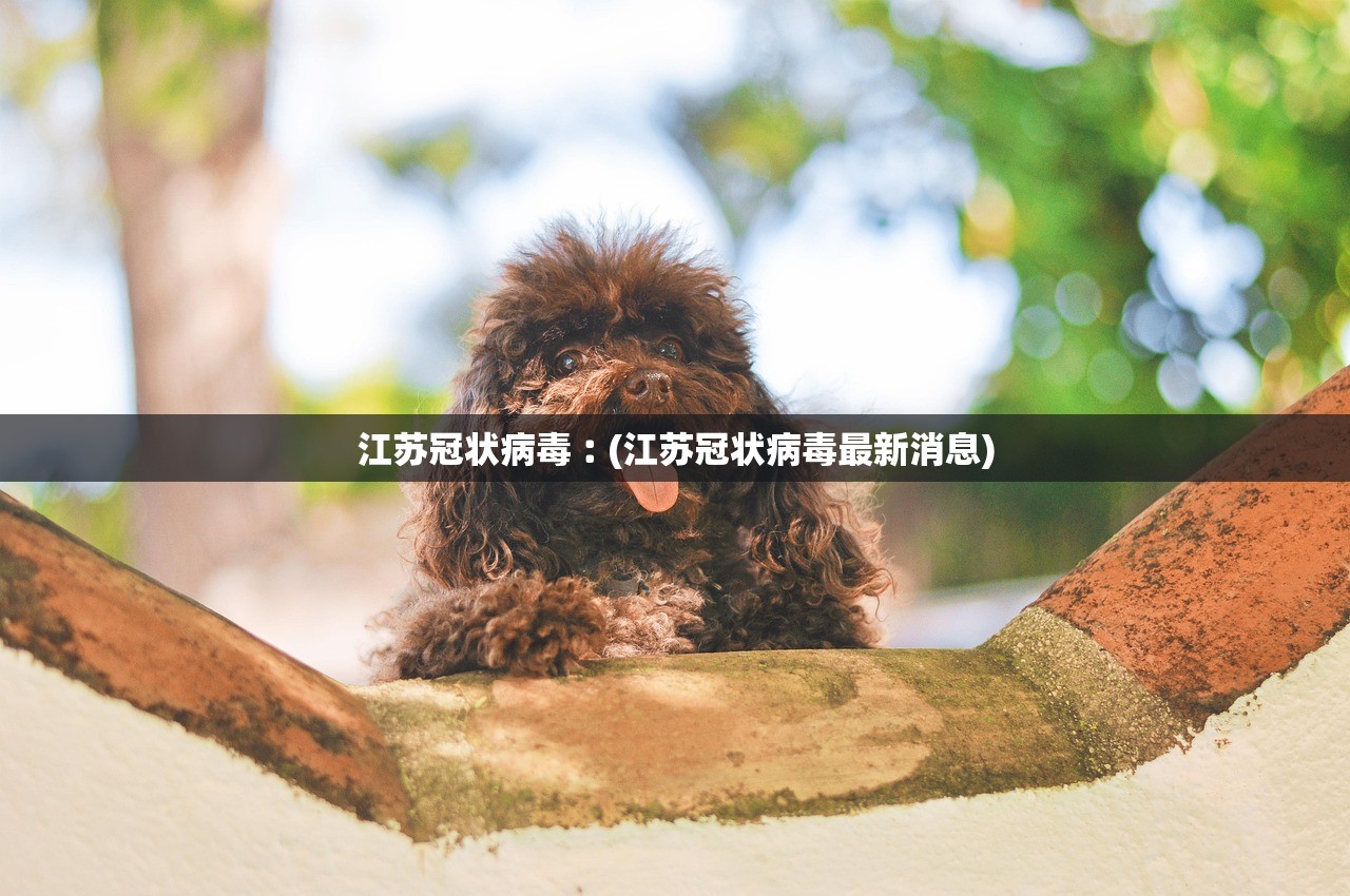 31省份新增本土感染者10535例︰(31省新增本土52例) 31省份新增本土感染者10535例︰(31省新增本土52例)