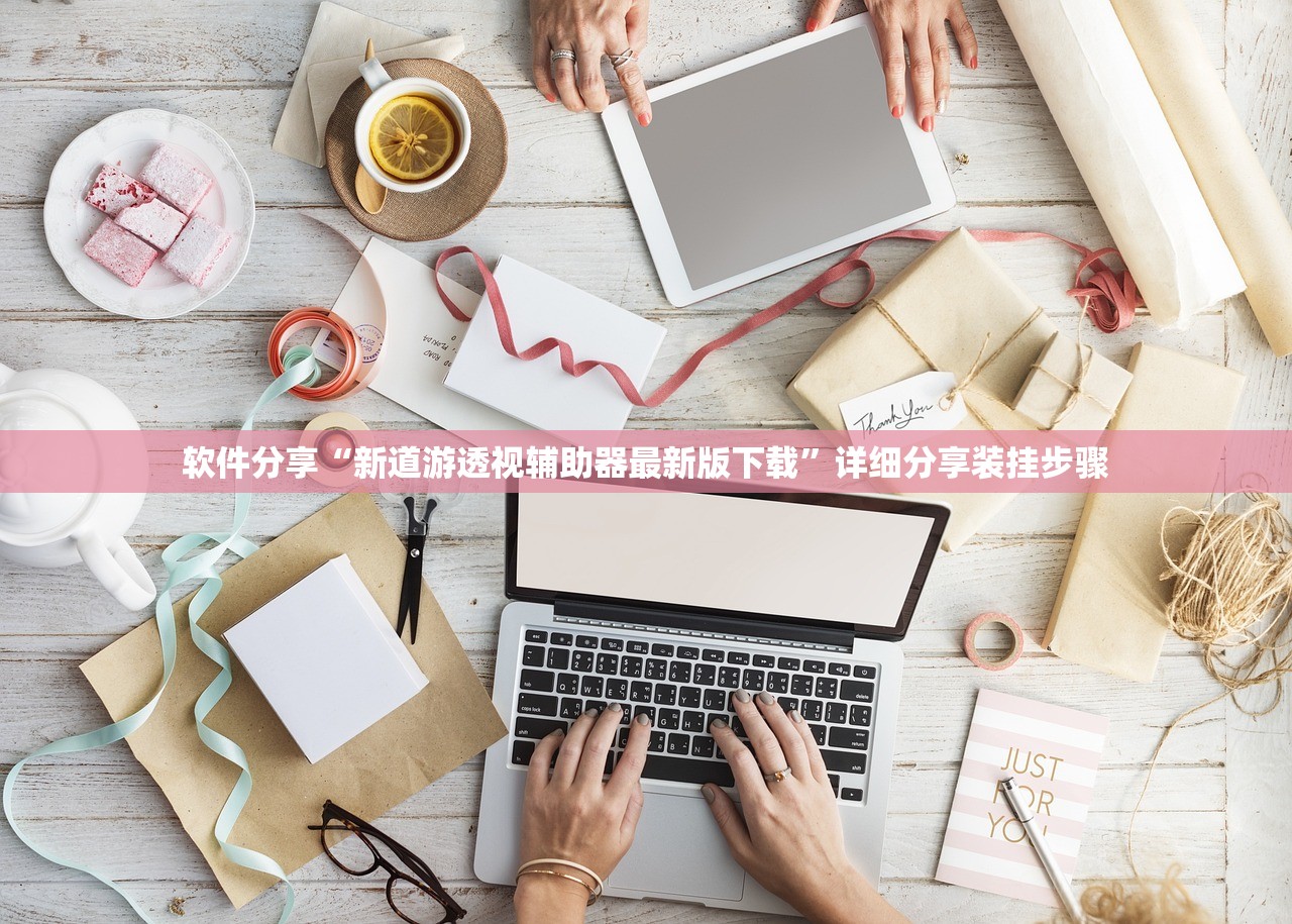 软件分享“新道游透视辅助器最新版下载	”详细分享装挂步骤