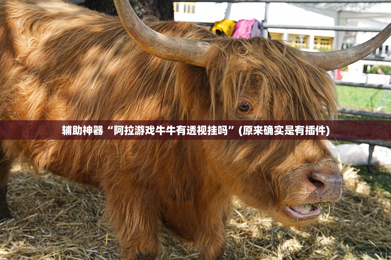 辅助神器“阿拉游戏牛牛有透视挂吗	”(原来确实是有插件)