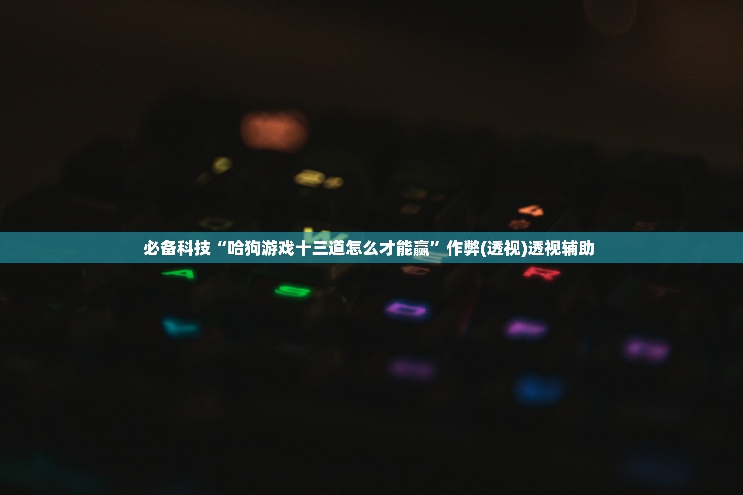 必备科技“哈狗游戏十三道怎么才能赢	”作弊(透视)透视辅助 