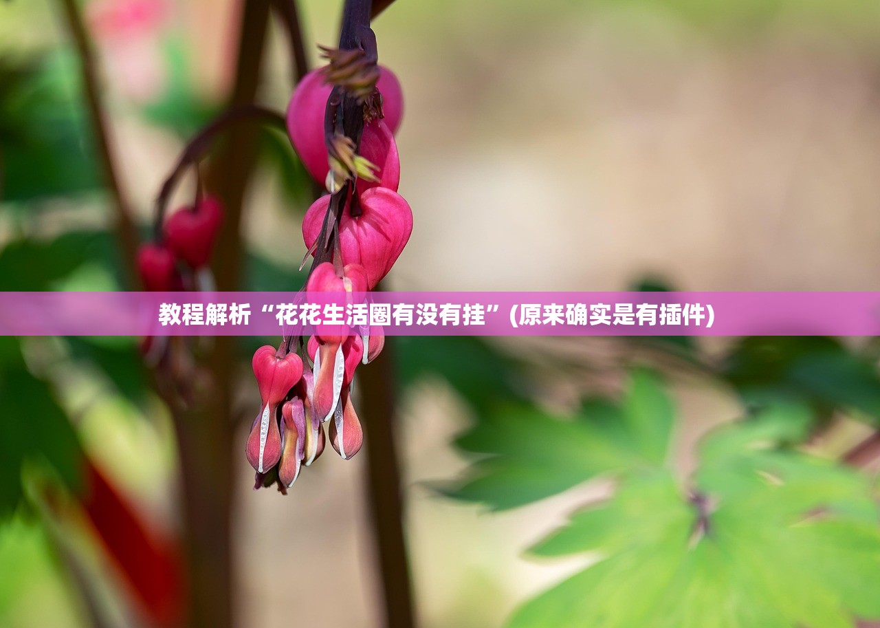 教程解析“花花生活圈有没有挂”(原来确实是有插件) 