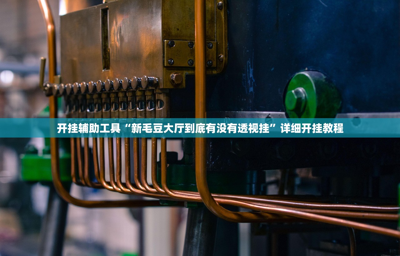 开挂辅助工具“新毛豆大厅到底有没有透视挂”详细开挂教程
