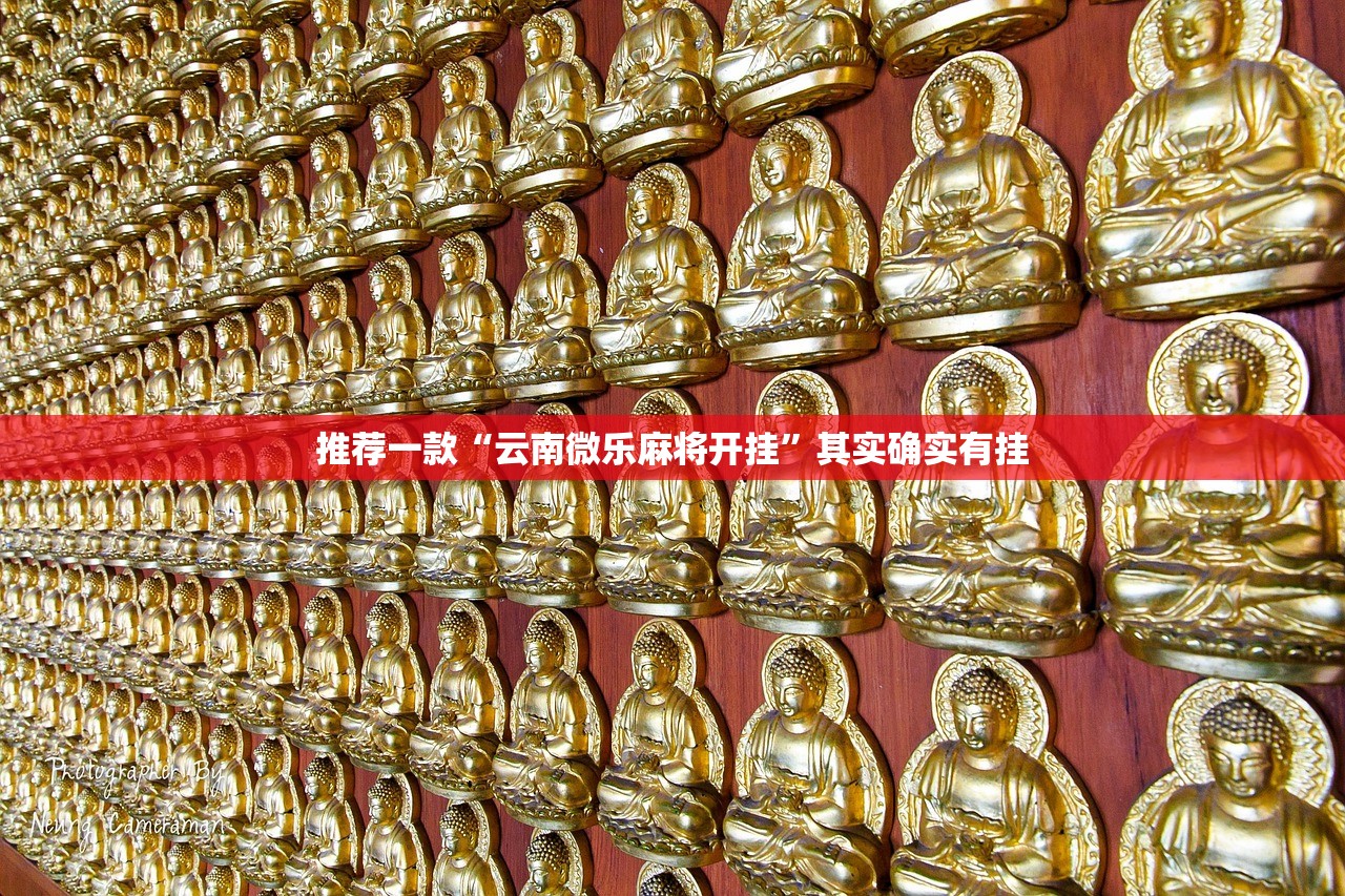 推荐一款“云南微乐麻将开挂”其实确实有挂