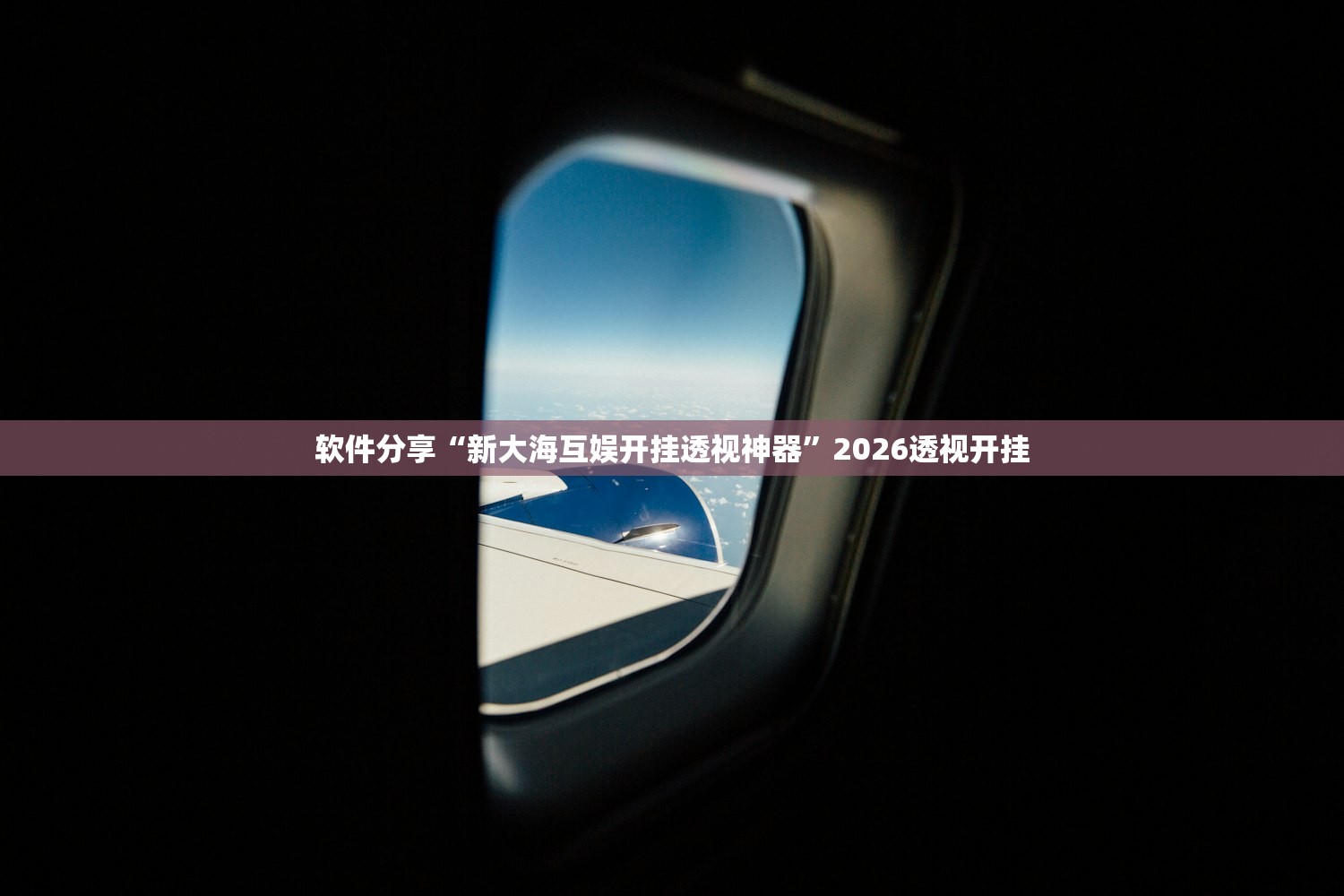 软件分享“新大海互娱开挂透视神器	”2026透视开挂