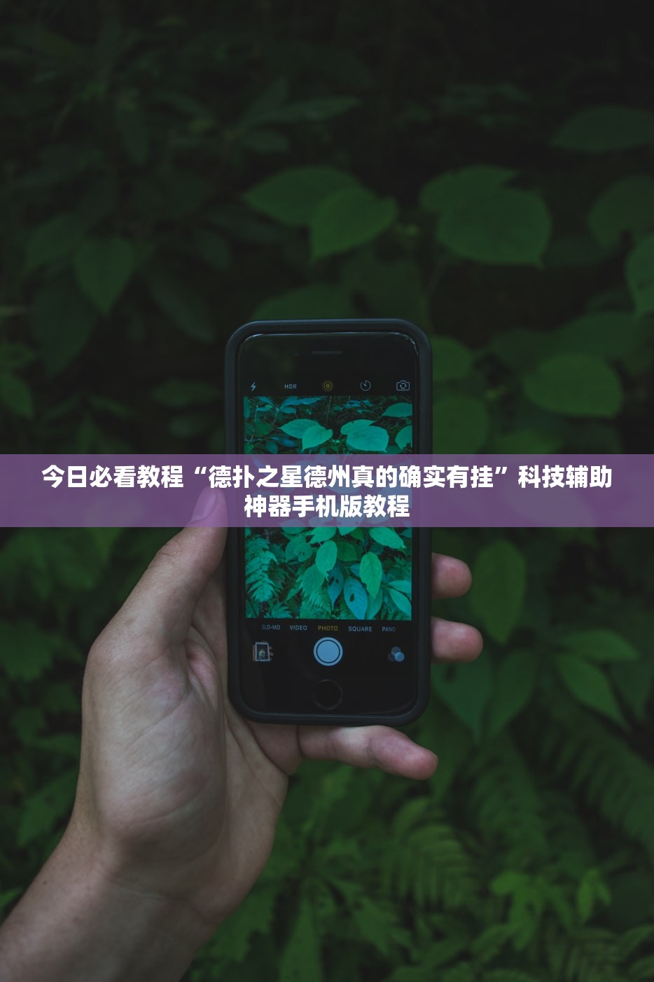 今日必看教程“德扑之星德州真的确实有挂”科技辅助神器手机版教程