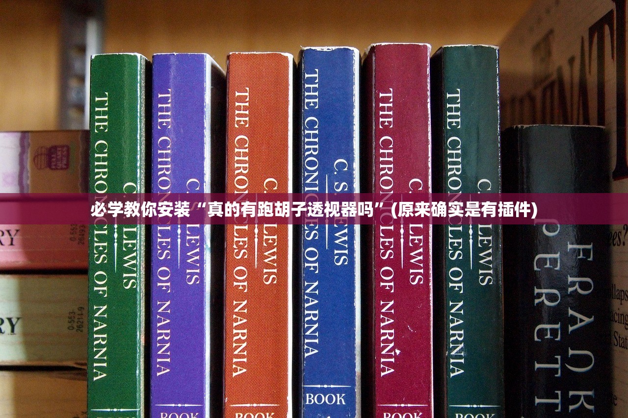 必学教你安装“真的有跑胡子透视器吗	”(原来确实是有插件)