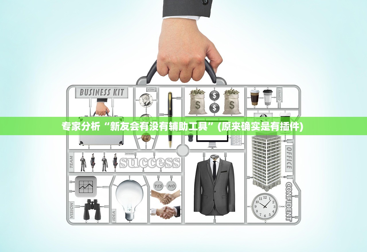 专家分析“新友会有没有辅助工具”(原来确实是有插件) 