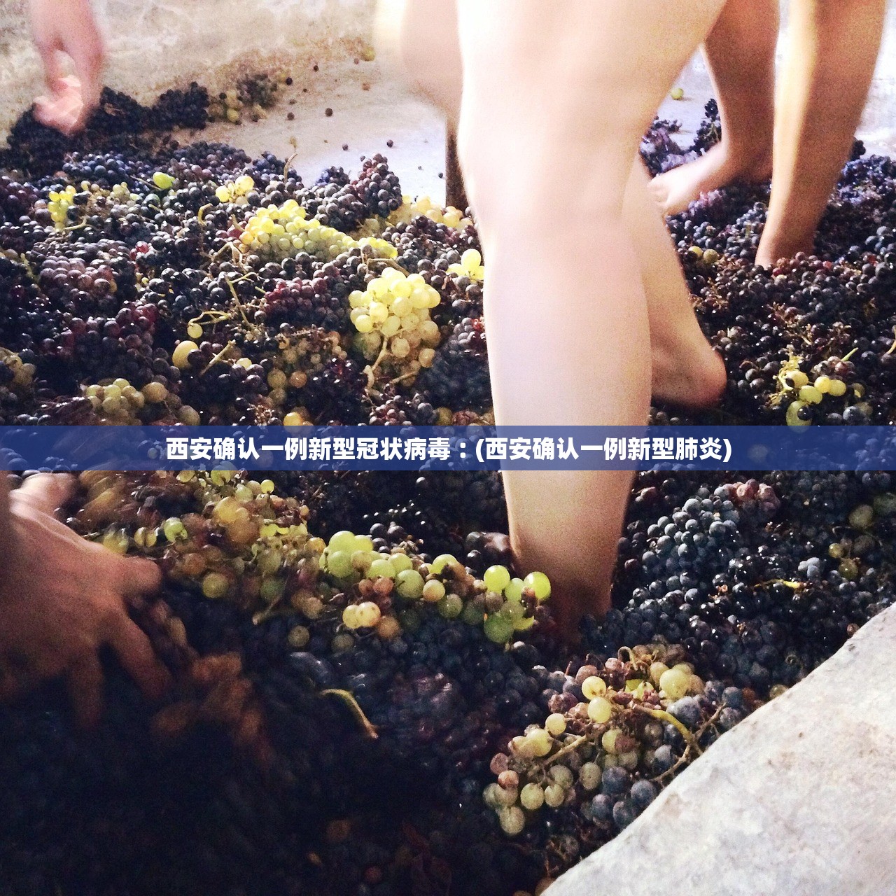 西安确认一例新型冠状病毒︰(西安确认一例新型肺炎) 西安确认一例新型冠状病毒︰(西安确认一例新型肺炎)