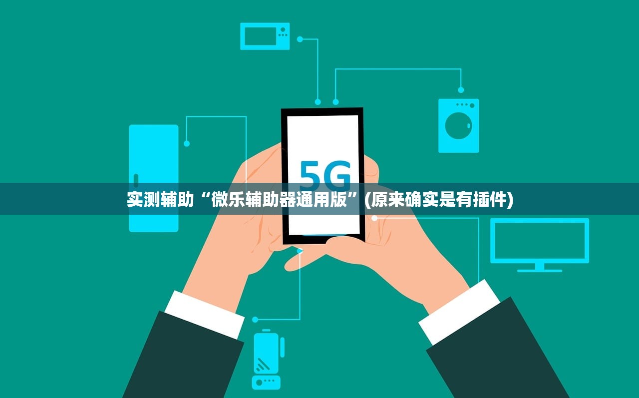 实测辅助“微乐辅助器通用版”(原来确实是有插件)