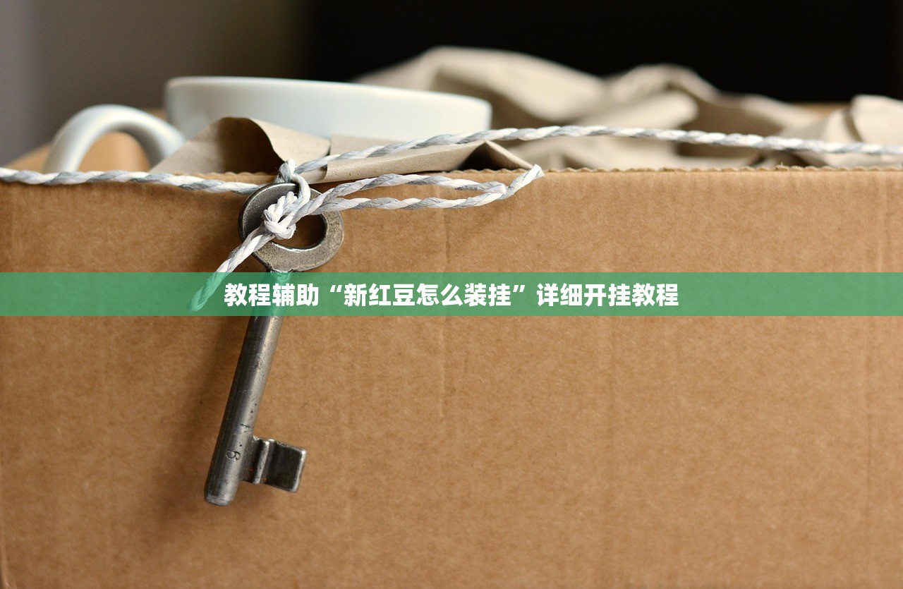 教程辅助“新红豆怎么装挂	”详细开挂教程