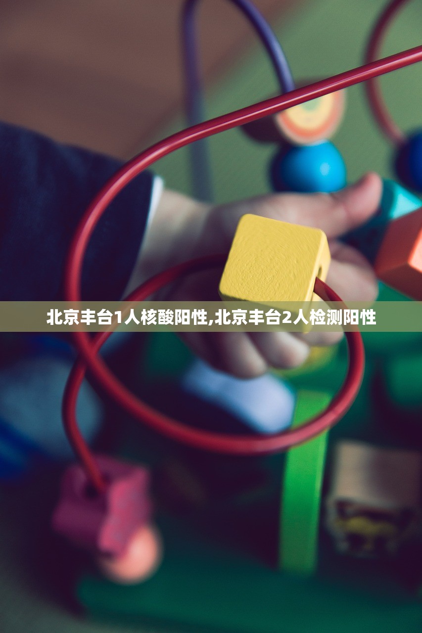 北京丰台1人核酸阳性,北京丰台2人检测阳性