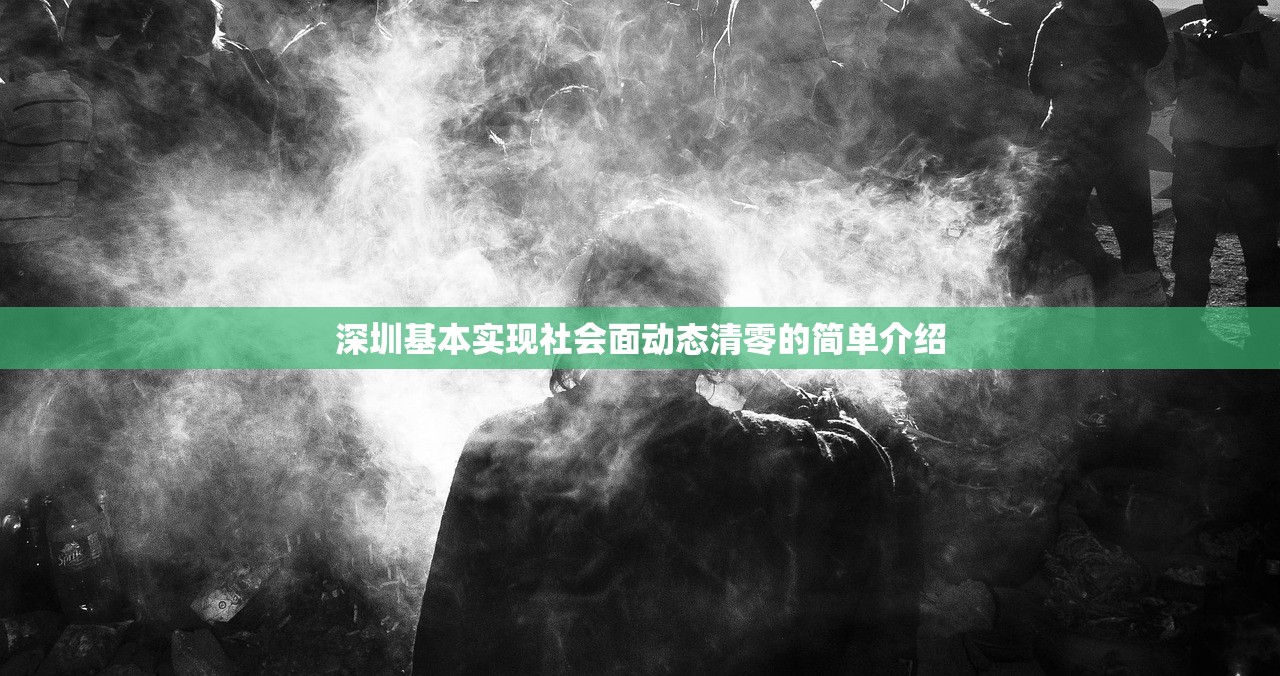 深圳基本实现社会面动态清零的简单介绍