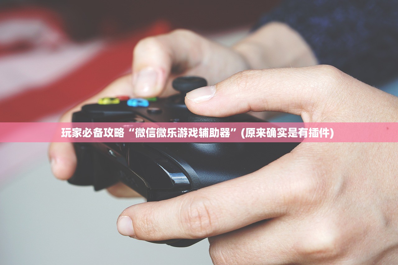 玩家必备攻略“微信微乐游戏辅助器”(原来确实是有插件) 