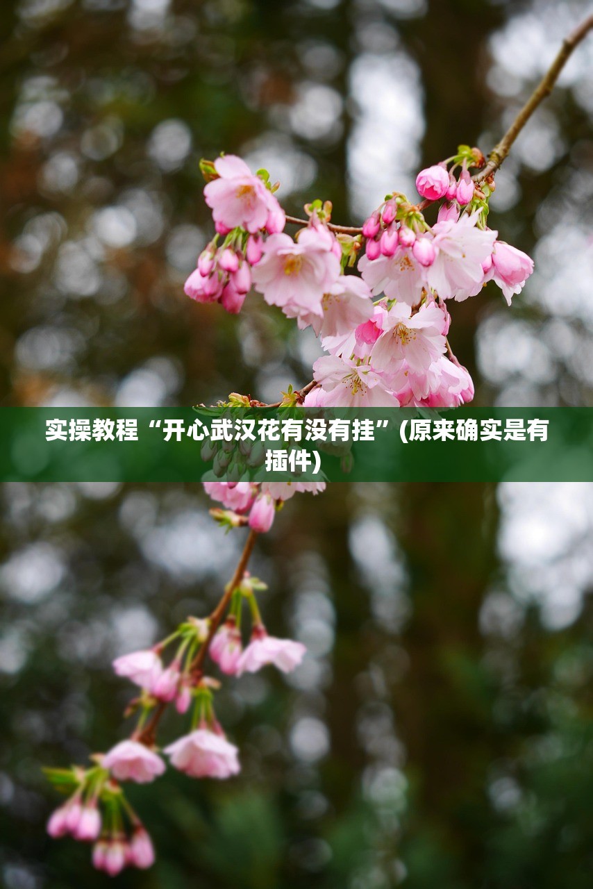 实操教程“开心武汉花有没有挂	”(原来确实是有插件) 