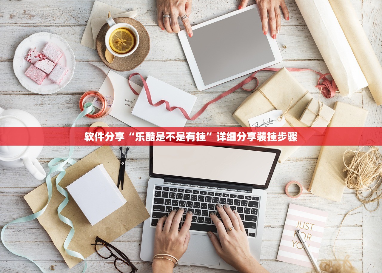 软件分享“乐酷是不是有挂”详细分享装挂步骤