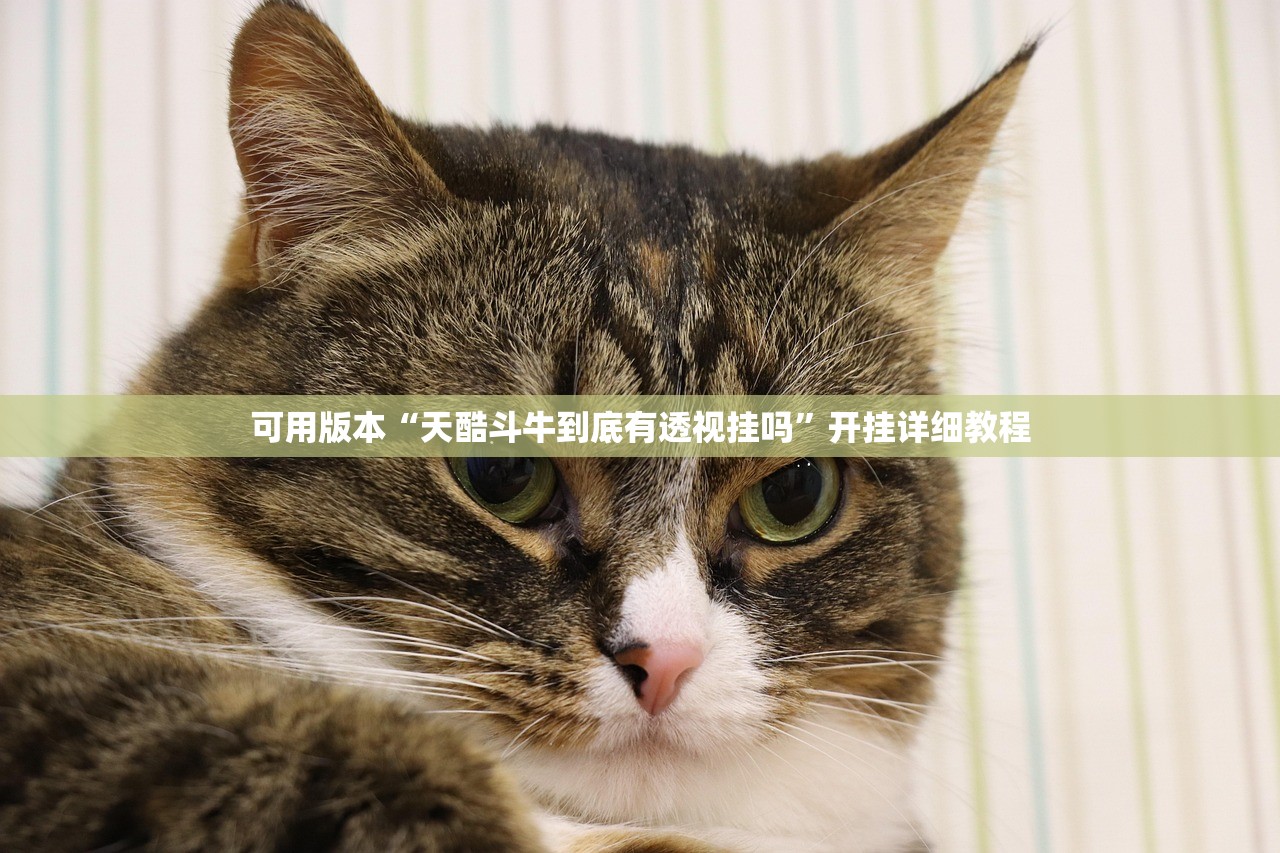 可用版本“天酷斗牛到底有透视挂吗”开挂详细教程