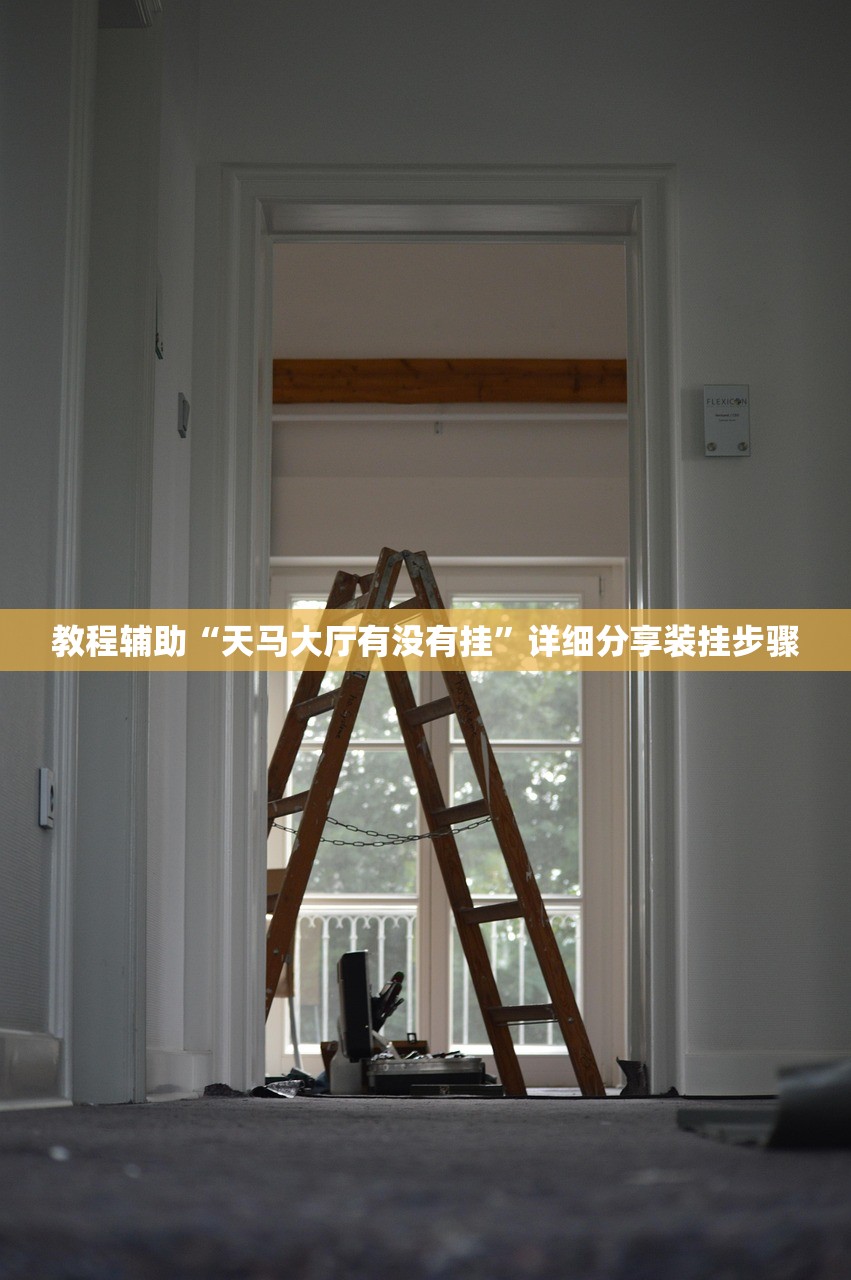 教程辅助“天马大厅有没有挂	”详细分享装挂步骤