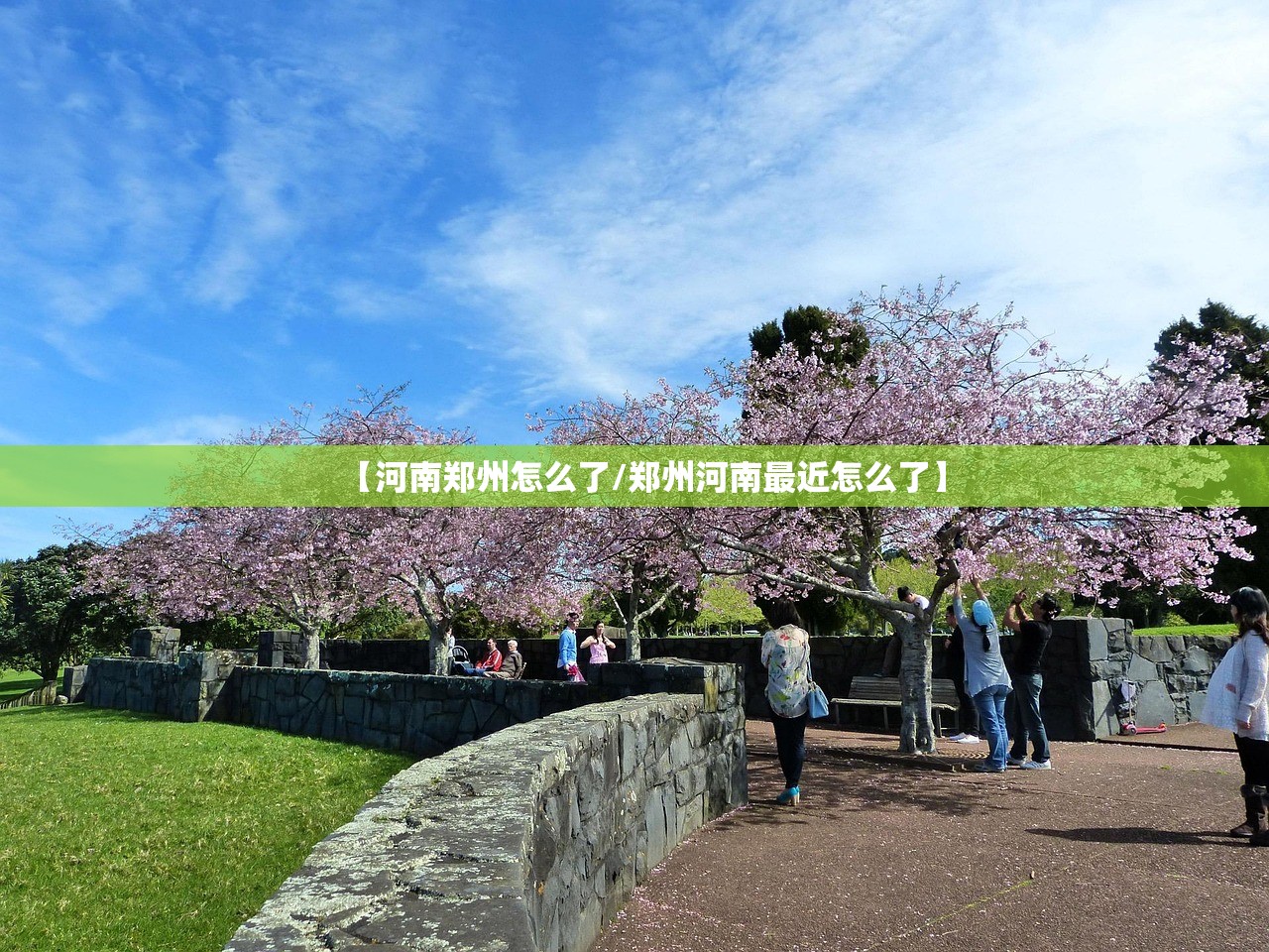 【河南郑州怎么了/郑州河南最近怎么了】