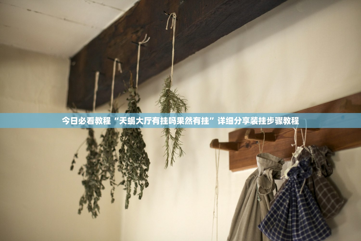 今日必看教程“天蝎大厅有挂吗果然有挂”详细分享装挂步骤教程