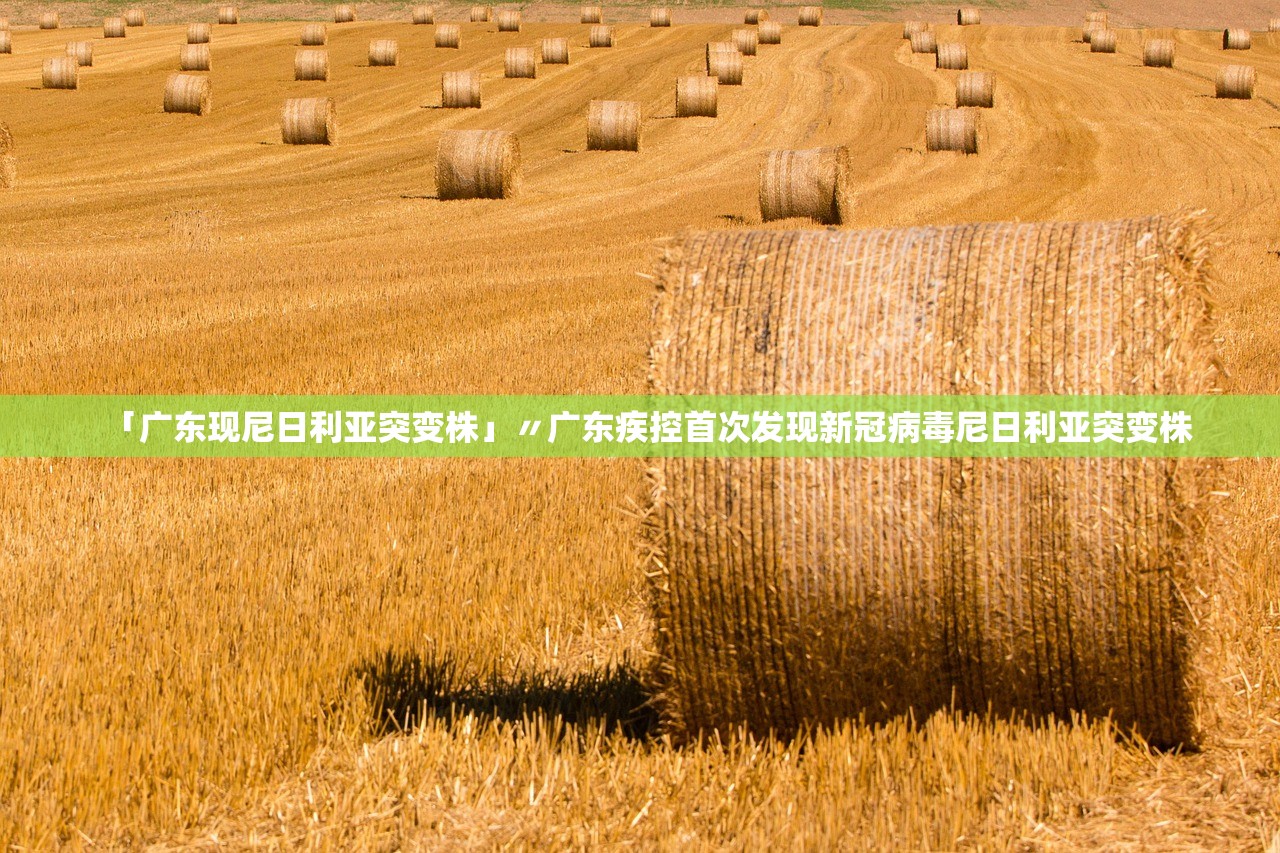 「广东现尼日利亚突变株」〃广东疾控首次发现新冠病毒尼日利亚突变株 「广东现尼日利亚突变株」〃广东疾控首次发现新冠病毒尼日利亚突变株