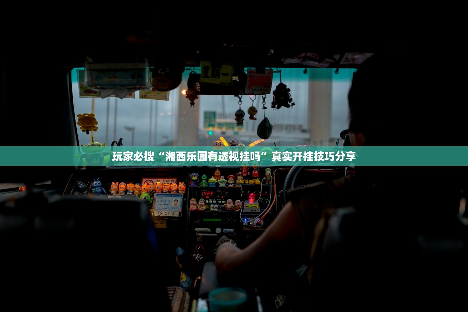 玩家必搜“湘西乐园有透视挂吗	”真实开挂技巧分享