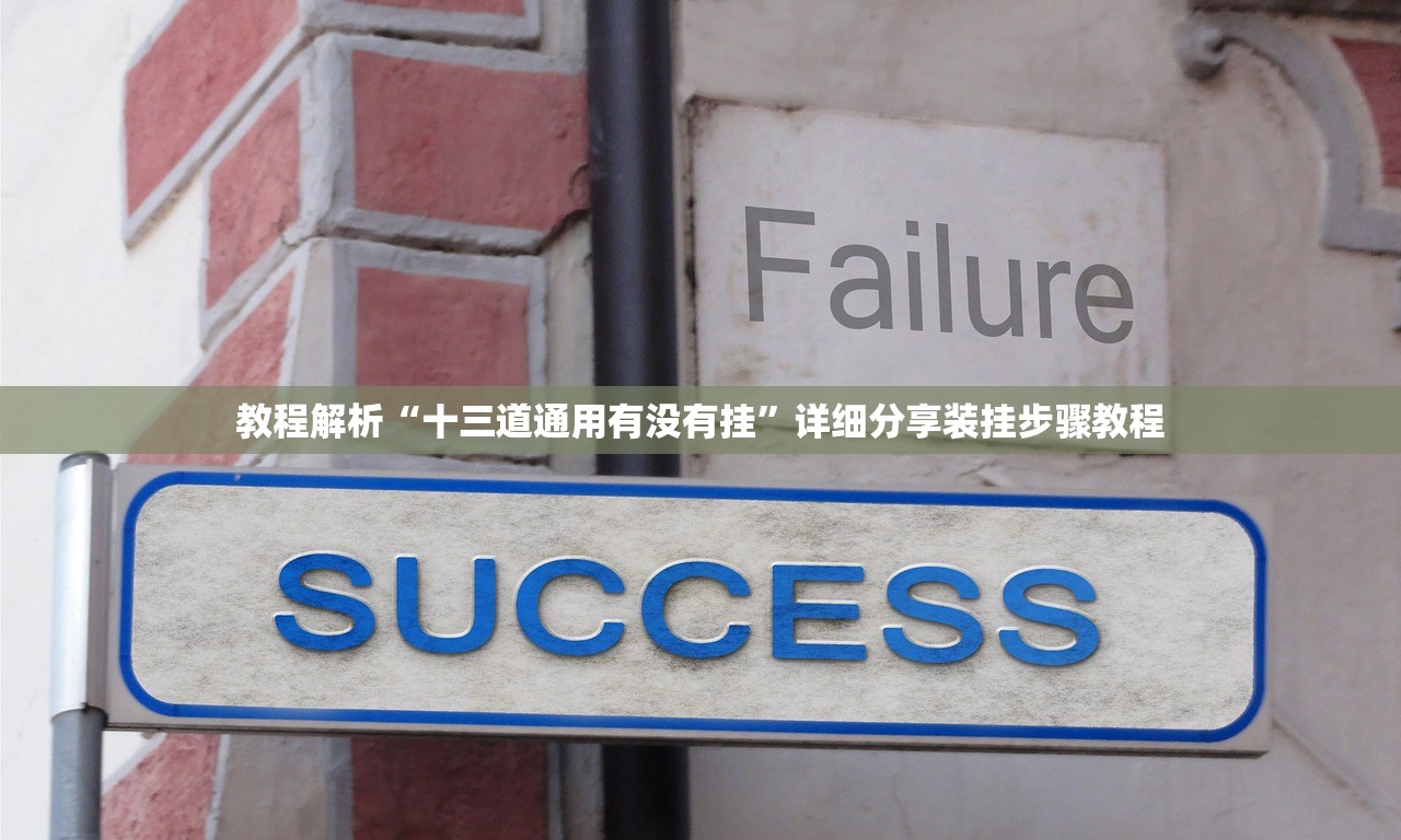教程解析“十三道通用有没有挂	”详细分享装挂步骤教程